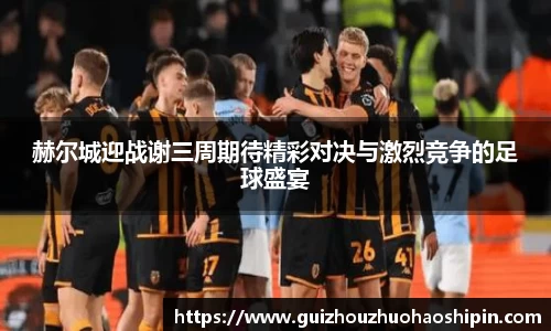 赫尔城迎战谢三周期待精彩对决与激烈竞争的足球盛宴